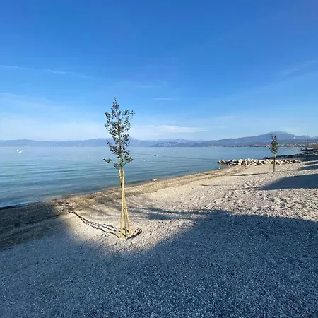 キャンプ場 Belvedere 3*